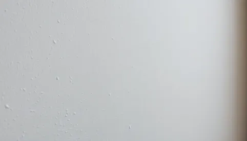 Jaki grunt przed gładzią