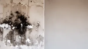 Tynk renowacyjny na wilgotne ściany