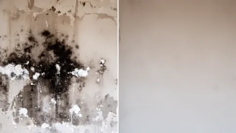 Tynk renowacyjny na wilgotne ściany